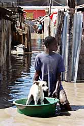 En pojke med sin hund efter stormen på Haiti. Foto: Ariana Cubillos/PrB