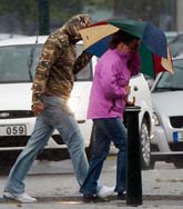 Stormen slog till värst mot Skåne. Foto: Johan Nilsson/Scanpix