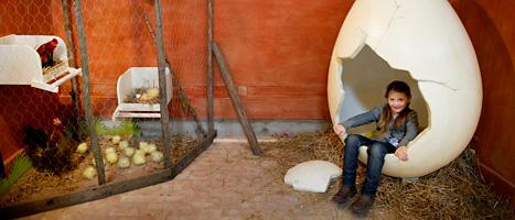 Lea sitter i ägget på nya Lill-skansen i Stockholm. Foto: Jessica Gow/Scanpix