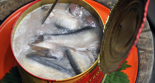 Burk med surströmming