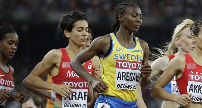 Abeba Aregawi