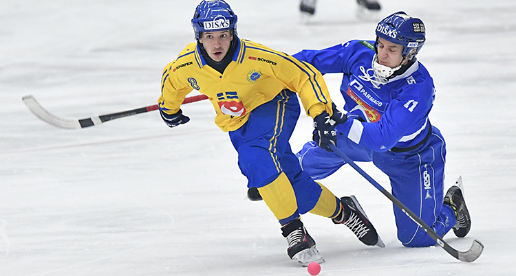 bandy