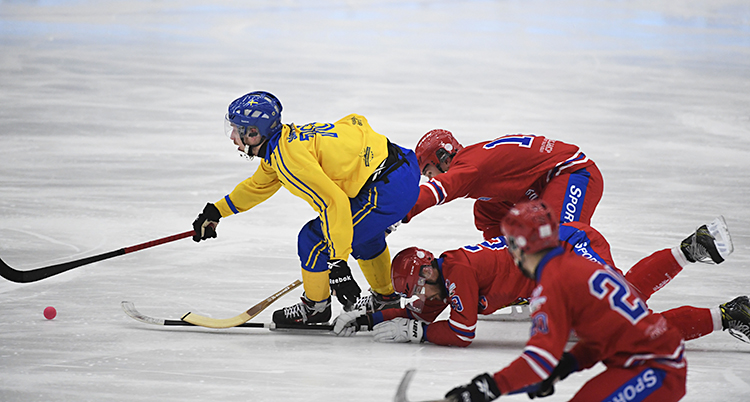 bandy
