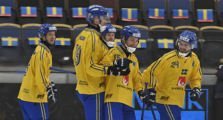 Svenska spelare firar ett mål i VM-matchen mot Tyskland.