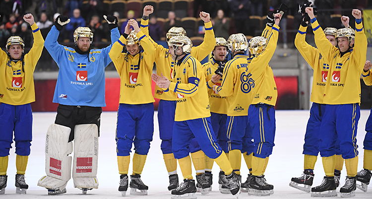 bandy-VM