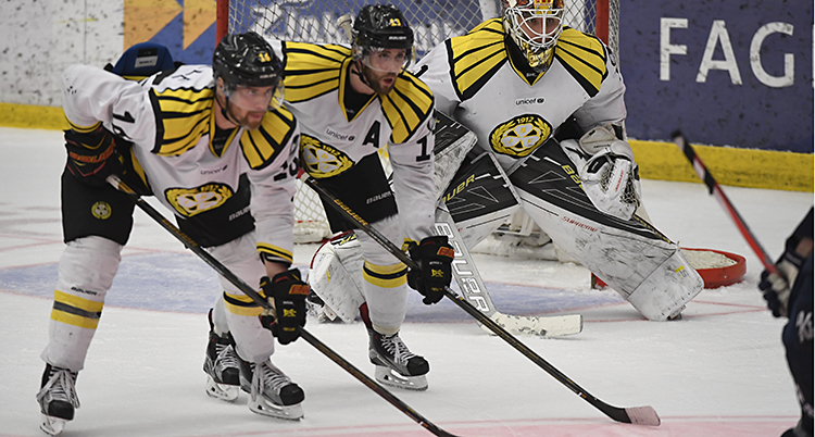 Brynäs