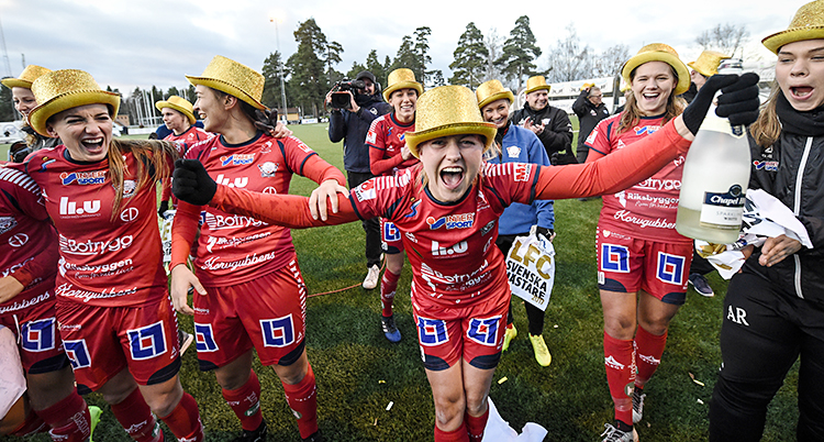 Linköpings spelare firar SM-guldet