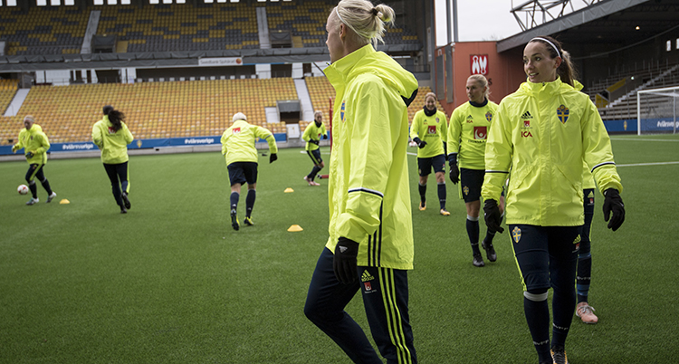 Landslaget i fotboll tränar.