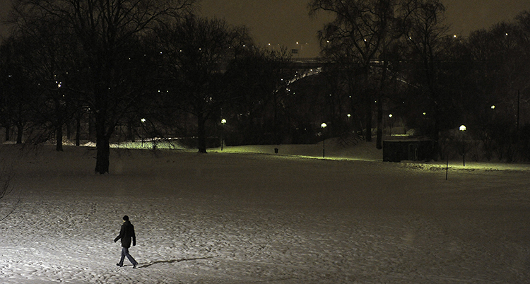 En bild på en mörk park. Den är lite upplyst av några gatlampor. En mörk figur ses gå i parken.