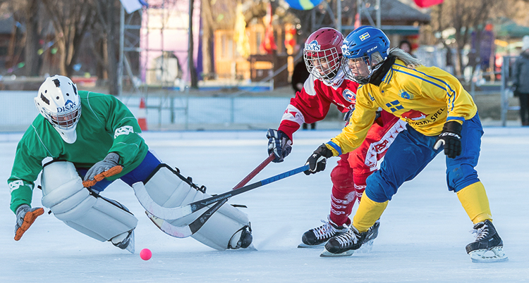 bandy