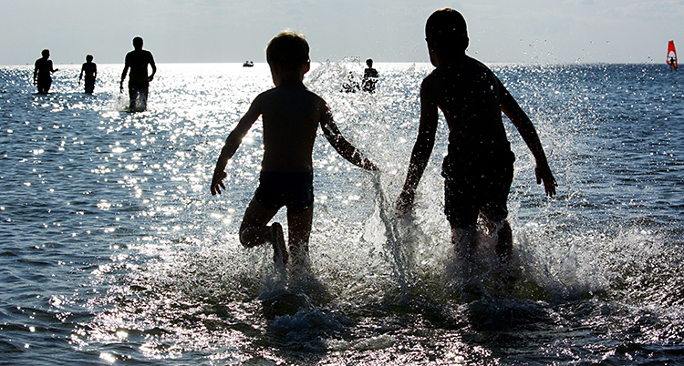 barn badar