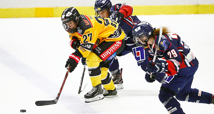 Luleå vann mot Linköping
