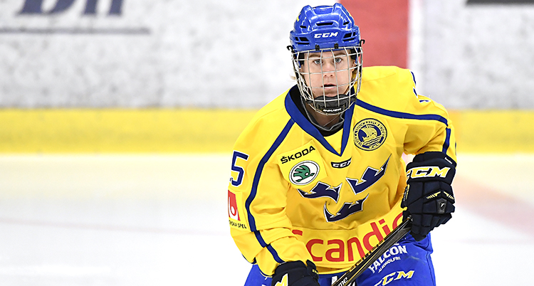 Lisa Johansson i Sveriges lag