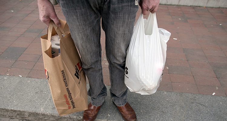 En person håller i en papperskasse och en plastkasse.