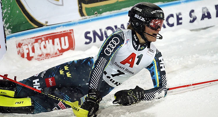 Anna Swenn Larsson.
