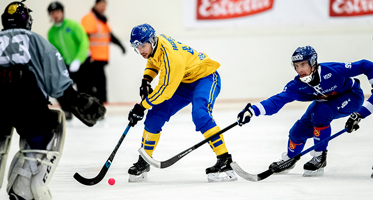 Sverige vann mot Finland