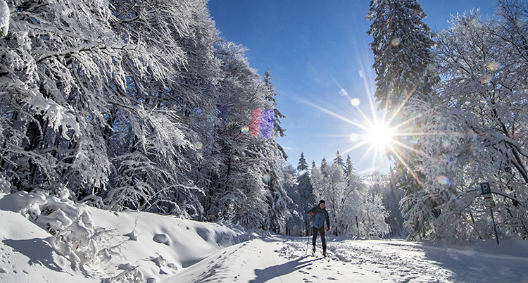 En skidåkare är ute i solen.