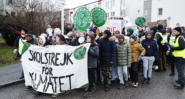 Demonstrationståg