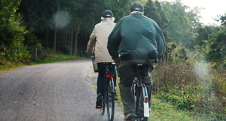 Ett äldre par cyklar på en väg i skogen. Man ser deras ryggar.