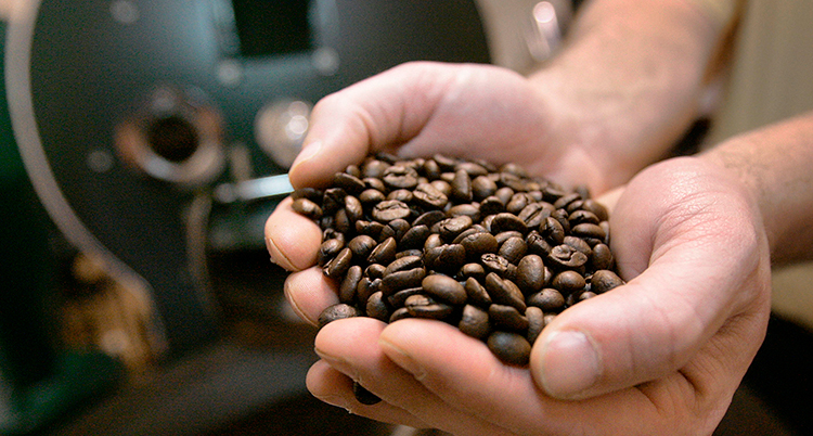 Kupade händer som håller i kaffebönor.