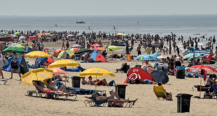Massa människor på en strand. En del ligger under parasoll. Andra står upp. Längst bort i bilden syns havet.