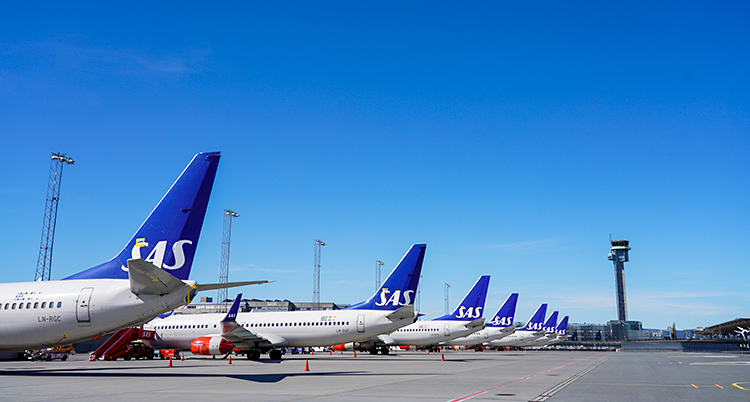 Flera flygplan står uppställda på rad på en flygplats. Himlen är alldeles blå.