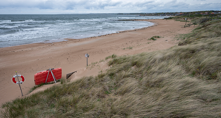 En sandstrand och havet.