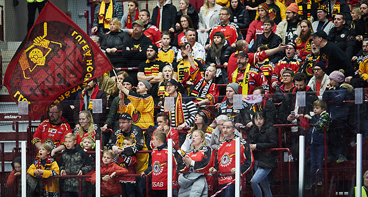 Vi ser en läktare på en match i ishockey. Det är människor som hejar på Luleås lag. De har matchtröjor och en flagga där det står Luleå hockey.