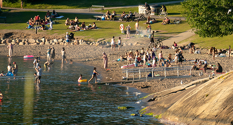 Människor på en strand. Solen skiner. De är ganska långt bort från kameran.
