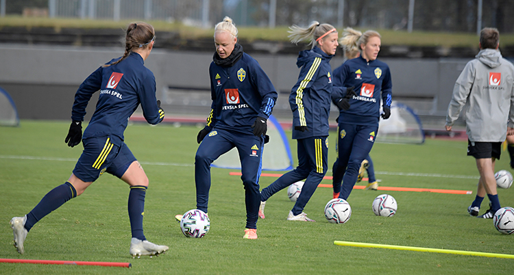 Vi ser en gräsmatta. Där finns flera kvinnor i träningsoveraller. Overallerna är mörkt blå. Spelarna har fotbollar vid fötterna.