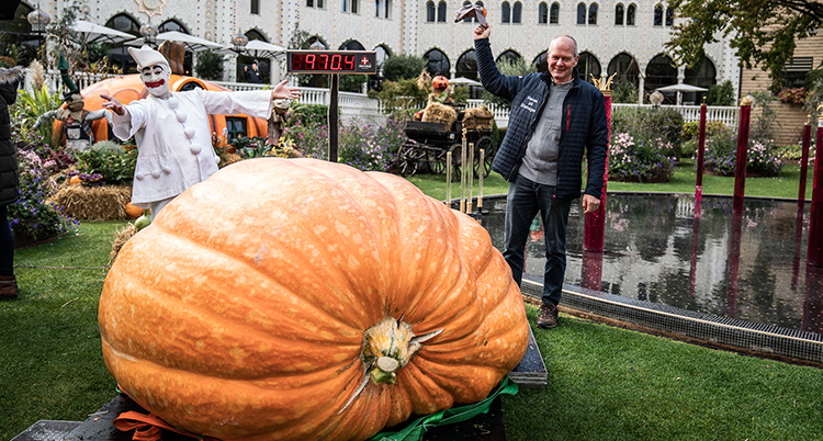 En gigantisk orange pumpa ligger på en gräsmatta. En clown och en man står bakom pumpan.
