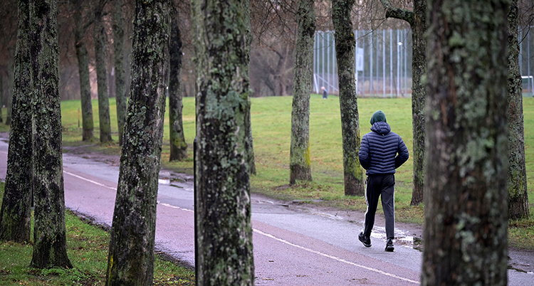 En person går på en väg i en park.