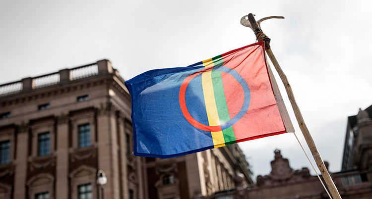 En flagga framför riksdagshuset. Den är blå och röd med en gul och grön linje som går tvärs över flagga. I mitten är en blå och röd ring.