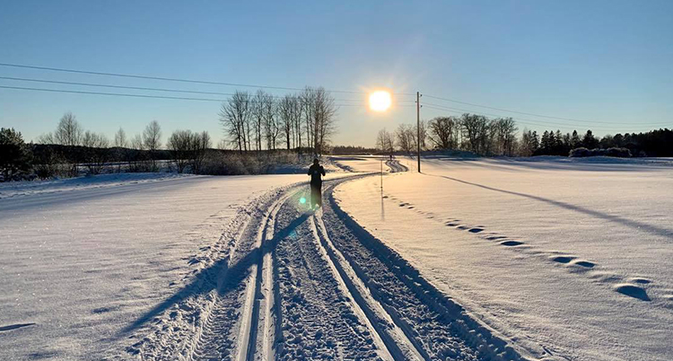 Skidspår går över en åker, blå himmel och en ensam skidåkare