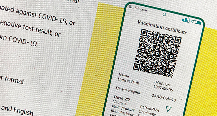 Bilden visar en figur som ser ut som en mobiltelefon. På telefonens skärm finns en fyrkantig kod med figurer i vitt och svart. Nedanför står det en massa saker, bland annat om vaccin.