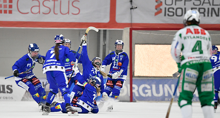 Från en match i bandy. Spelare i ett lag firar tillsammans på isen. De har blå kläder.