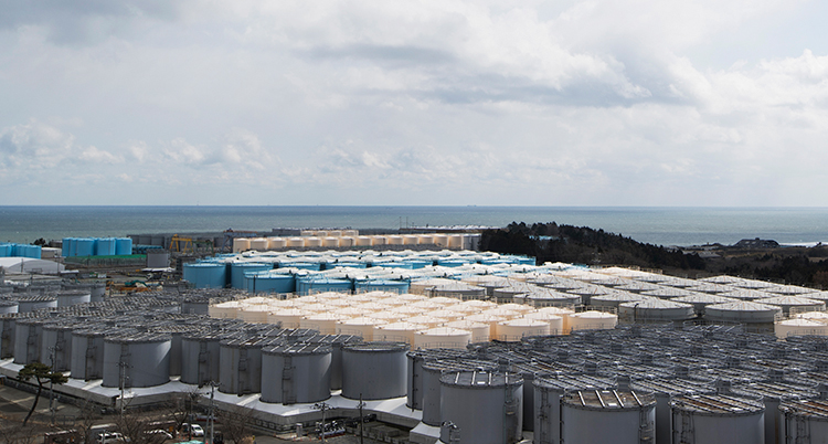 Stora tunnor med vatten från Fukushima står samlade och väntar.