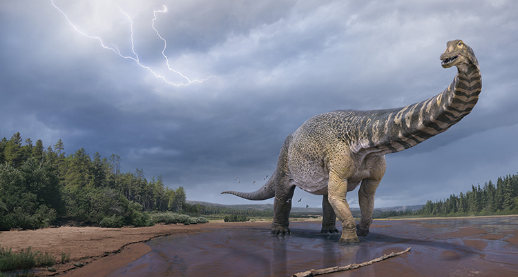 En tecknad bild på en dinosaurie.