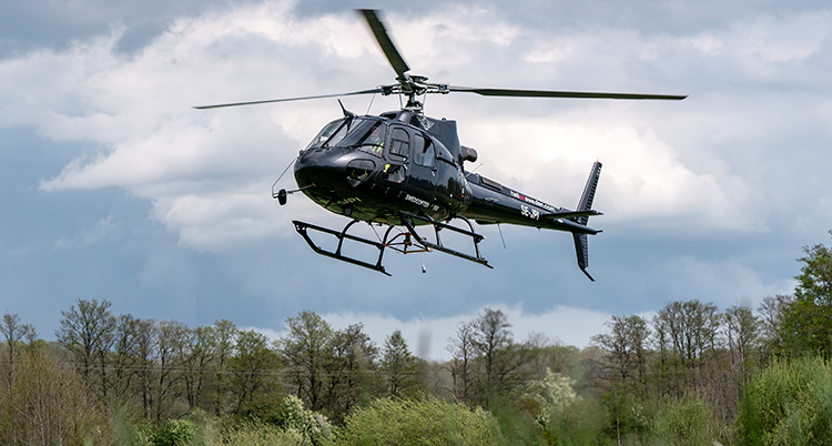 En helikopter flyger ovanför en skog. Träd ses nertill i bilden och himmel bakom helikoptern.