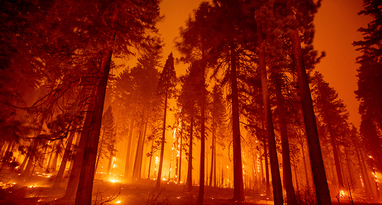 Bilden på stor brand i skogen i delstaten Kalifornien.