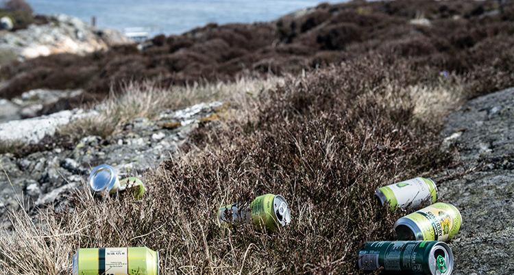 burkar av aluminium ligger slängda i naturen