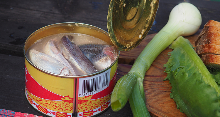 Surströmming i en öppnad konservburk som står intill en färsk lök och bröd.
