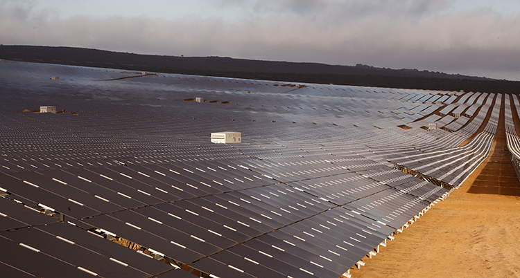 Solceller i Sydafrika.