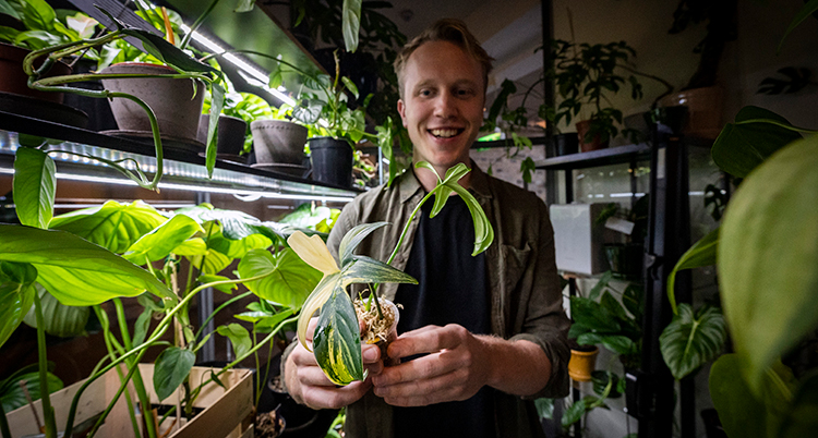 Han står bland växte roch helle ri en liten kruka med en växt