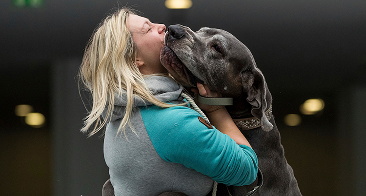 Kvinnan och hunden kramar varandra