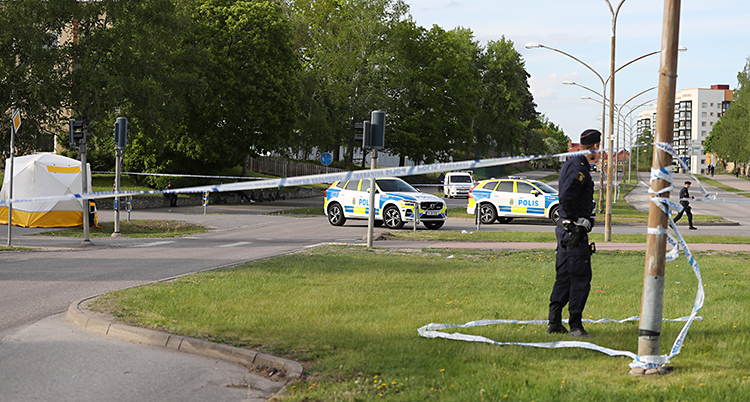 Bilden är tagen utomhus vid en vägkorsning. Flera poliser och polisbilar är där.