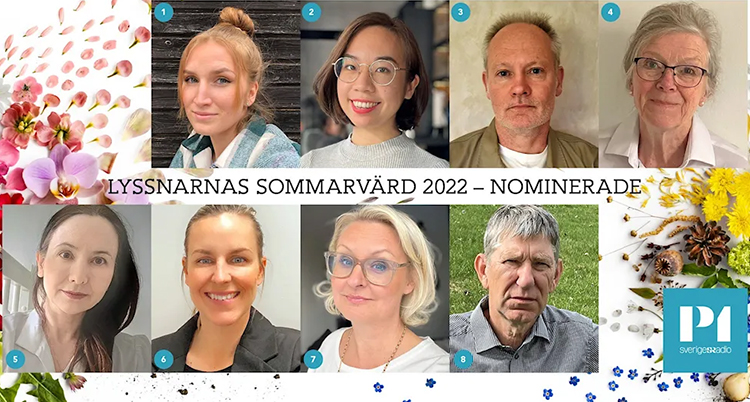 Alla ansikten på de som vill bli valda.