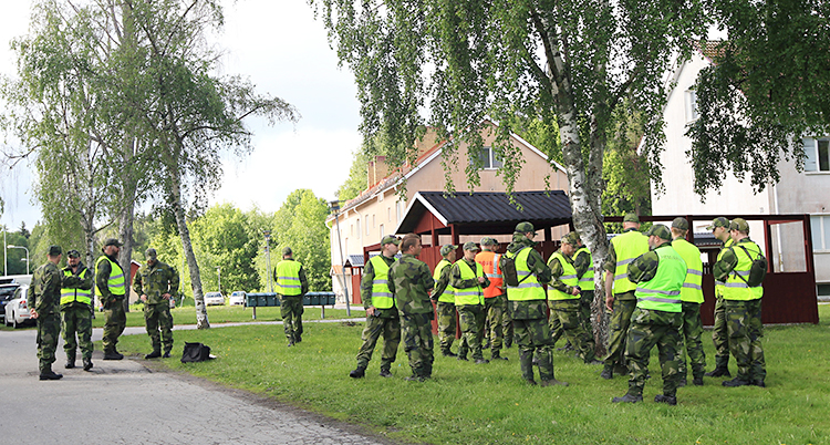 Personer står på en gräsmatta. De har militärkläder och varselvästar på sig.