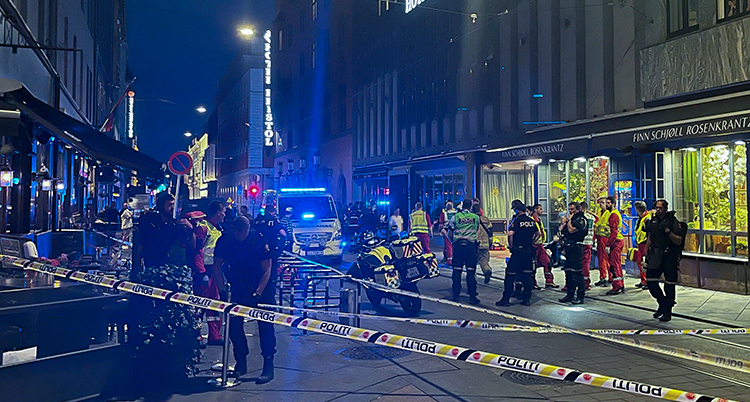 Många människor är på gatan i staden. Det är mörkt. Det syns blåljus. Räddningspersoner jobbar. De har gula västar.