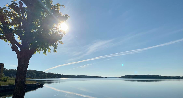 Solen syns bakom ett träd. Vattnet är spegelblankt. Himlen är blå.